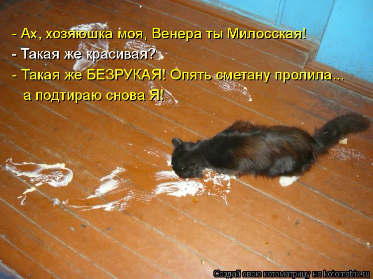 - Ах, хозяюшка моя, Венера ты Милосская! - Такая же красивая? - Такая же БЕЗРУКАЯ! Опять сметану прол... Котоматрица: - Ах, хозяюшка моя, Венера ты Милосская! - Такая же красивая? - Такая же БЕЗРУКАЯ! Опять сметану пролила... а подтираю снова Я!
