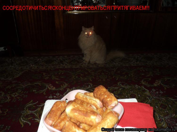 СОСРЕДОТИЧИТЬСЯ!СКОНЦЕНТРИРОВАТЬСЯ!ПРИТЯГИВАЕМ!!!... Котоматрица: СОСРЕДОТИЧИТЬСЯ!СКОНЦЕНТРИРОВАТЬСЯ!ПРИТЯГИВАЕМ!!!