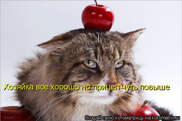 | | _ _ Хозяйка все хорошо но прицел чуть повыше... Котоматрица: | | _ _ Хозяйка все хорошо но прицел чуть повыше