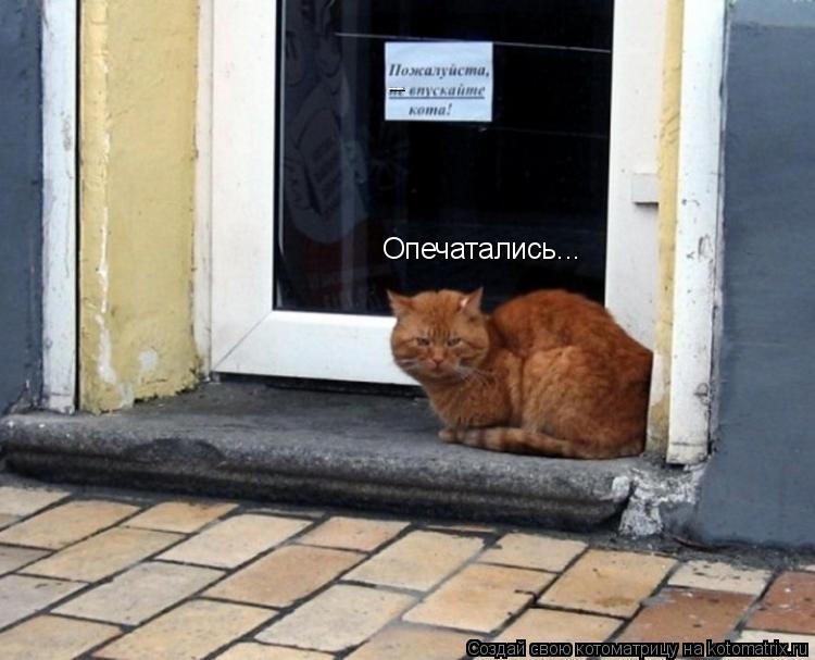 __ Опечатались...... Котоматрица: __ Опечатались...