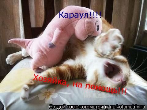 Караул!!!! Хозяйка, на помощь!!!... Котоматрица: Караул!!!! Хозяйка, на помощь!!!