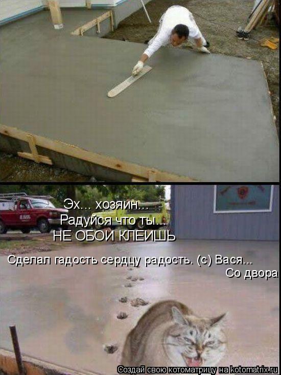 Эх... хозяин... Радуйся что ты... НЕ ОБОИ КЛЕИШЬ Сделал гадость сердцу радость. (с) Вася... Со двора... Котоматрица: Эх... хозяин... Радуйся что ты... НЕ ОБОИ КЛЕИШЬ Сделал гадость сердцу радость. (с) Вася... Со двора