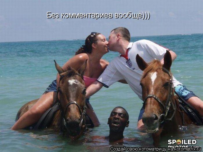 Без комментариев вообще)))... Котоматрица: Без комментариев вообще)))