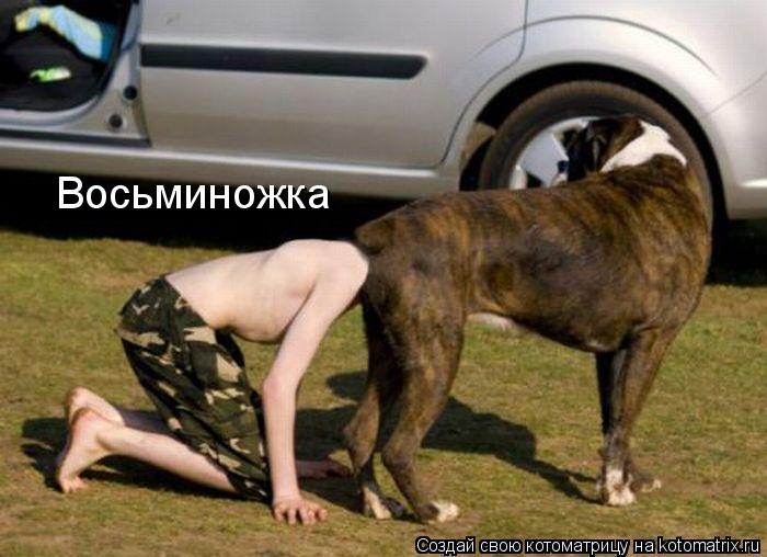Восьминожка... Котоматрица: Восьминожка