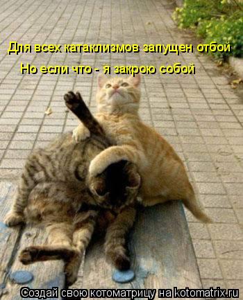 Для всех катаклизмов запущен отбой Но если что - я закрою собой... Котоматрица: Для всех катаклизмов запущен отбой Но если что - я закрою собой