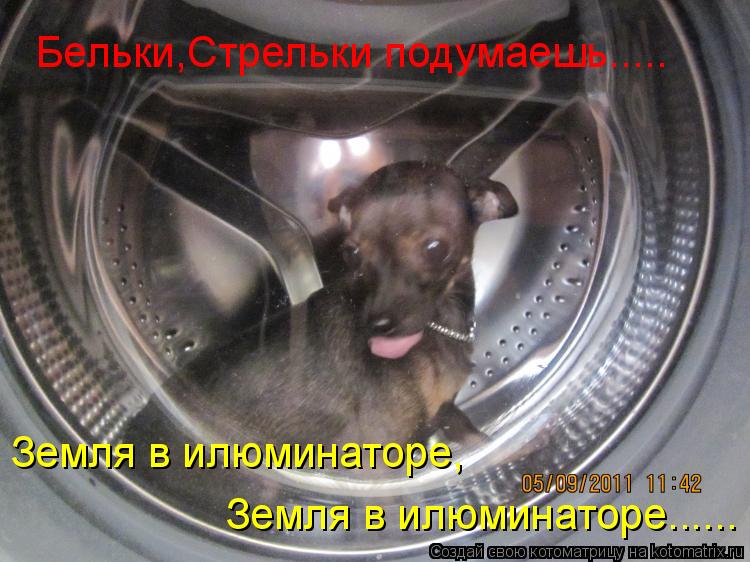 Бельки,Стрельки подумаешь..... Земля в илюминаторе, Земля в илюминаторе......... Котоматрица: Бельки,Стрельки подумаешь..... Земля в илюминаторе, Земля в илюминаторе......