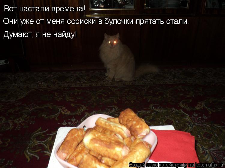 Вот настали времена! Они уже от меня сосиски в булочки прятать стали. Думают, я не найду!... Котоматрица: Вот настали времена! Они уже от меня сосиски в булочки прятать стали. Думают, я не найду!