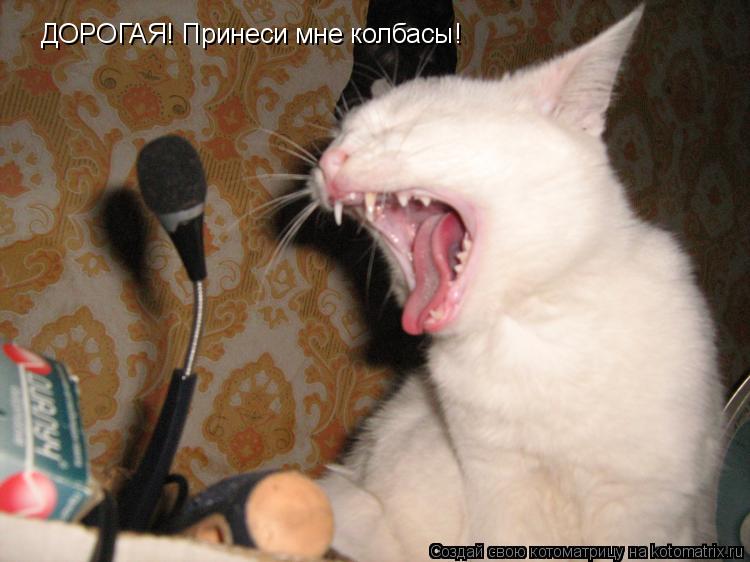 ДОРОГАЯ! Принеси мне колбасы!... Котоматрица: ДОРОГАЯ! Принеси мне колбасы!