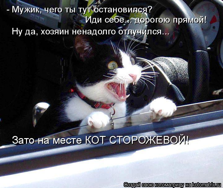 - Мужик, чего ты тут остановился? Иди себе... дорогою прямой! Ну да, хозяин ненадолго отлучился... ... Котоматрица: - Мужик, чего ты тут остановился? Иди себе... дорогою прямой! Ну да, хозяин ненадолго отлучился... Зато на месте КОТ СТОРОЖЕВОЙ!