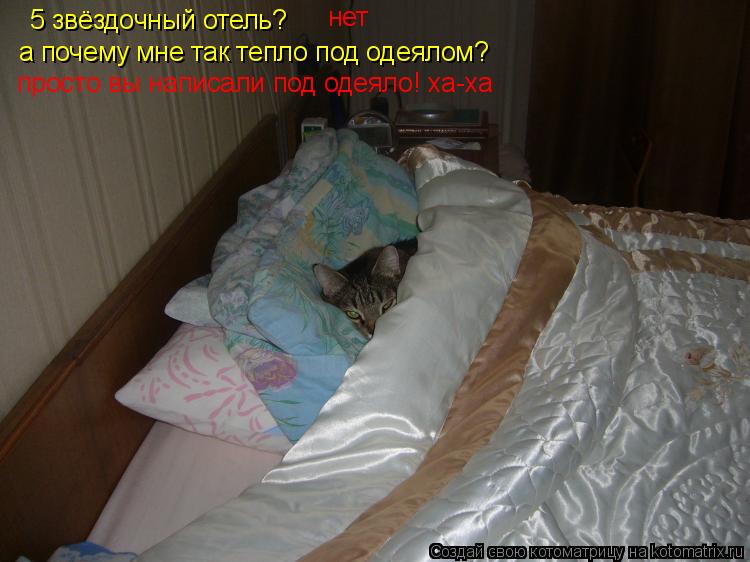 5 звёздочный отель? нет а почему мне так тепло под одеялом? просто вы написали под одеяло! ха-ха... Котоматрица: 5 звёздочный отель? нет а почему мне так тепло под одеялом? просто вы написали под одеяло! ха-ха