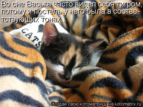 Котоматрица: Во сне Васька часто видел себя тигром, потому и постель у него была в соотве- тствующих тонах...