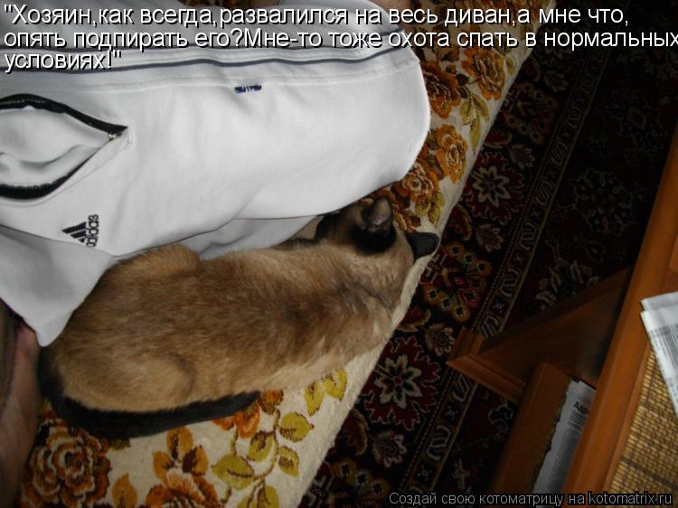 "Хозяин,как всегда,развалился на весь диван,а мне что, опять подпирать его?Мне-то тоже охота спать в ... Котоматрица: "Хозяин,как всегда,развалился на весь диван,а мне что, опять подпирать его?Мне-то тоже охота спать в нормальных условиях!"