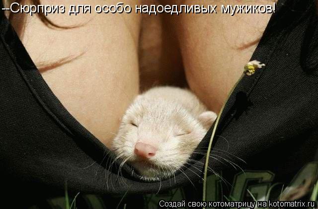Котоматрица: --Сюрприз для особо надоедливых мужиков!