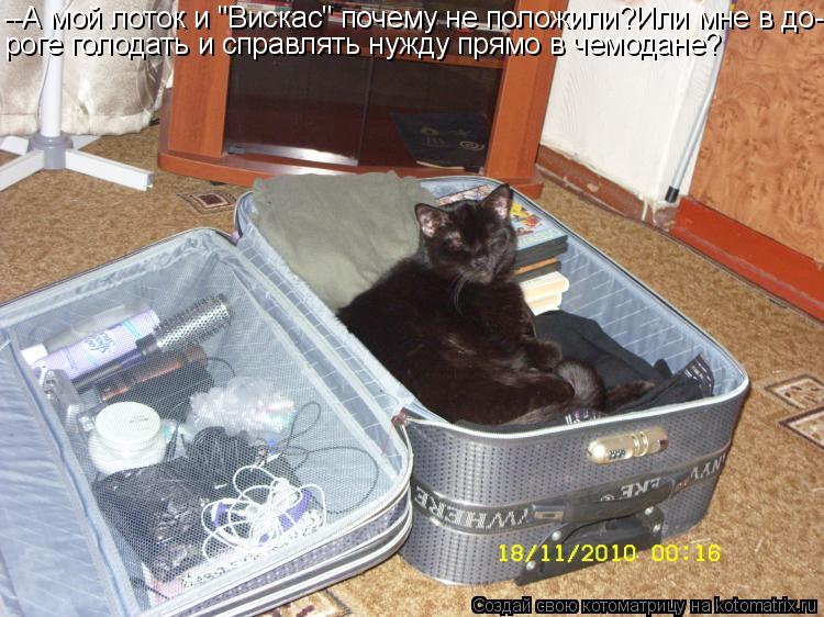 Котоматрица: --А мой лоток и "Вискас" почему не положили?Или мне в до- роге голодать и справлять нужду прямо в чемодане?