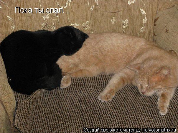 Котоматрица: Пока ты спал...