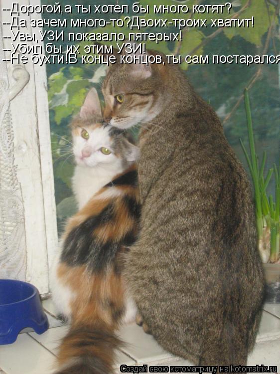 Котоматрица: --Дорогой,а ты хотел бы много котят? --Да зачем много-то?Двоих-троих хватит! --Увы,УЗИ показало пятерых! --Убил бы их этим УЗИ! --Не бухти!В конце к
