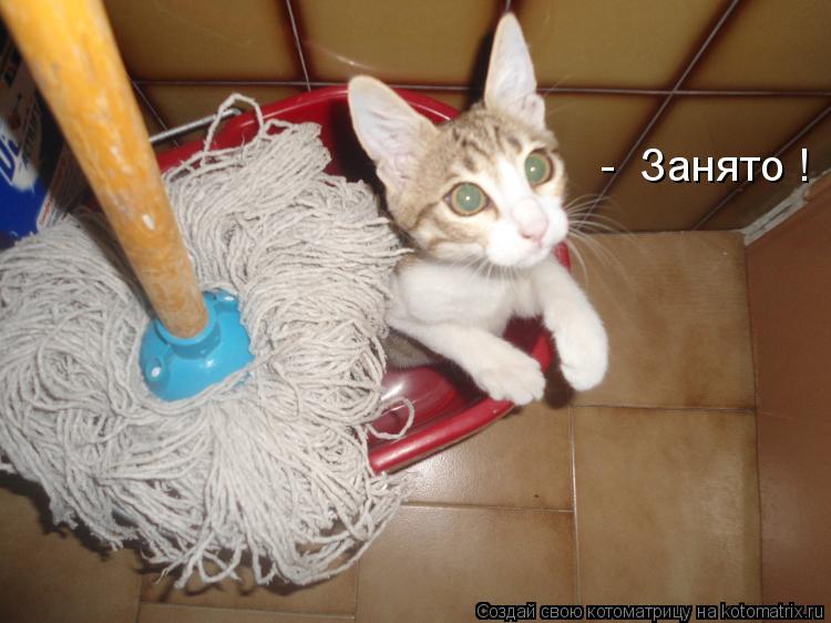 Котоматрица: -  Занято !