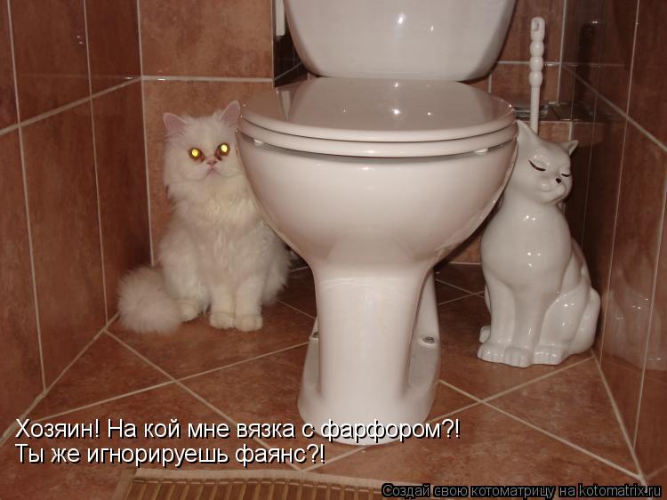 Котоматрица: Хозяин! На кой мне вязка с фарфором?! Ты же игнорируешь фаянс?!