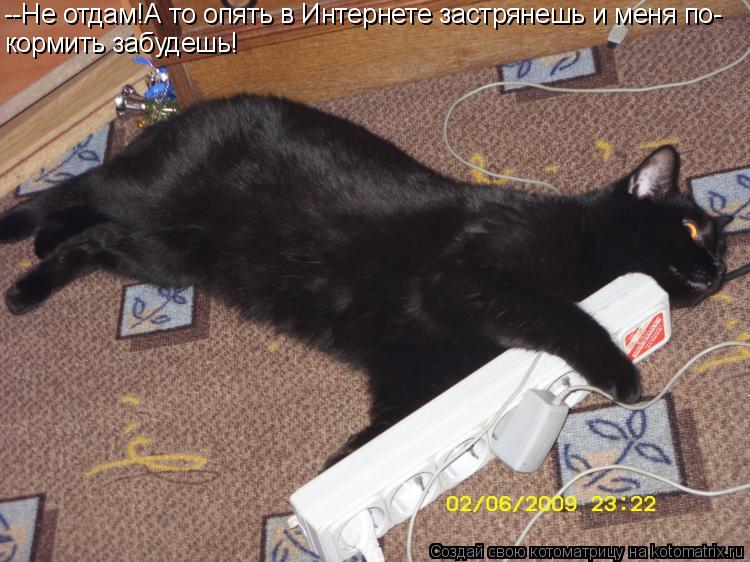 Котоматрица: --Не отдам!А то опять в Интернете застрянешь и меня по- кормить забудешь!