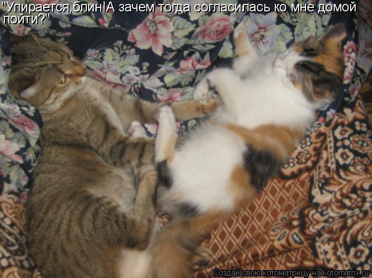 Котоматрица: "Упирается,блин!А зачем тогда согласилась ко мне домой пойти?"