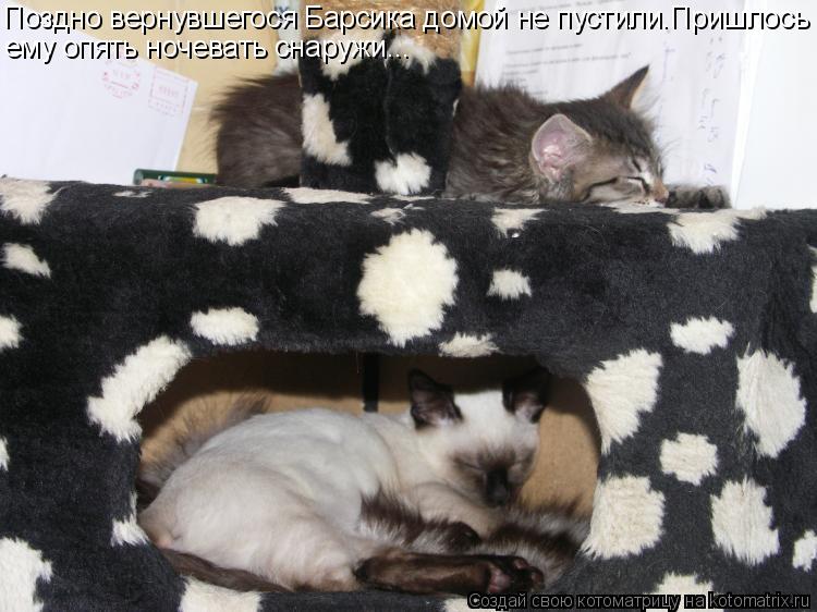 Котоматрица: Поздно вернувшегося Барсика домой не пустили.Пришлось ему опять ночевать снаружи...