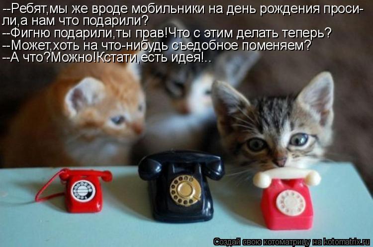 Котоматрица: --Ребят,мы же вроде мобильники на день рождения проси- ли,а нам что подарили? --Фигню подарили,ты прав!Что с этим делать теперь? --Может,хоть на 