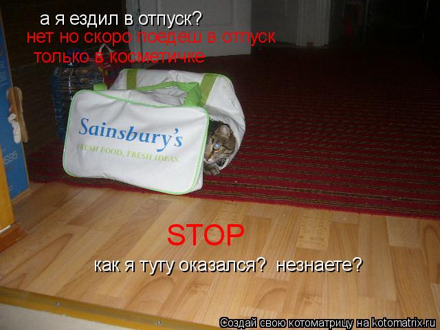 Котоматрица: а я ездил в отпуск?  нет но скоро поедеш в отпуск только в косметичке STOP как я туту оказался?  незнаете?