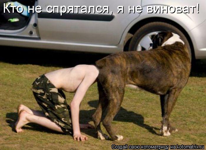 Котоматрица: Кто не спрятался, я не виноват!