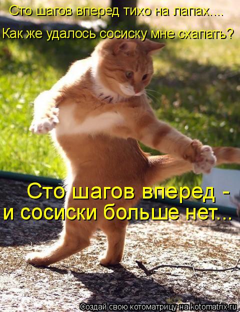 Котоматрица: Сто шагов вперед тихо на лапах.... Как же удалось сосиску мне схапать?  Сто шагов вперед -  и сосиски больше нет...
