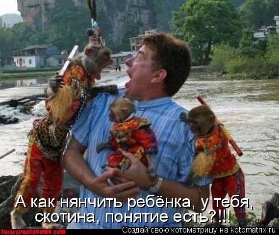 А как нянчить ребёнка, у тебя, скотина, понятие есть?!!!... Котоматрица: А как нянчить ребёнка, у тебя, скотина, понятие есть?!!!