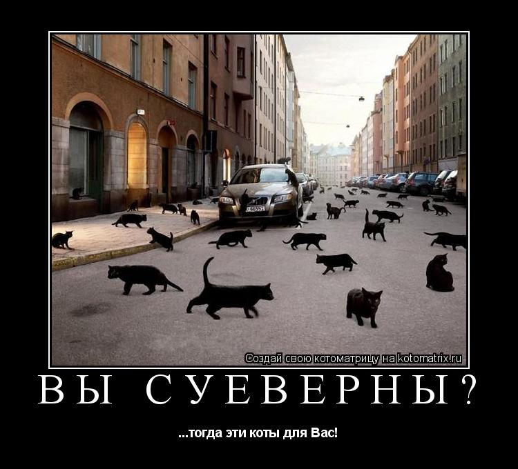 Котоматрица: Вы суеверны? ...тогда эти коты для Вас!
