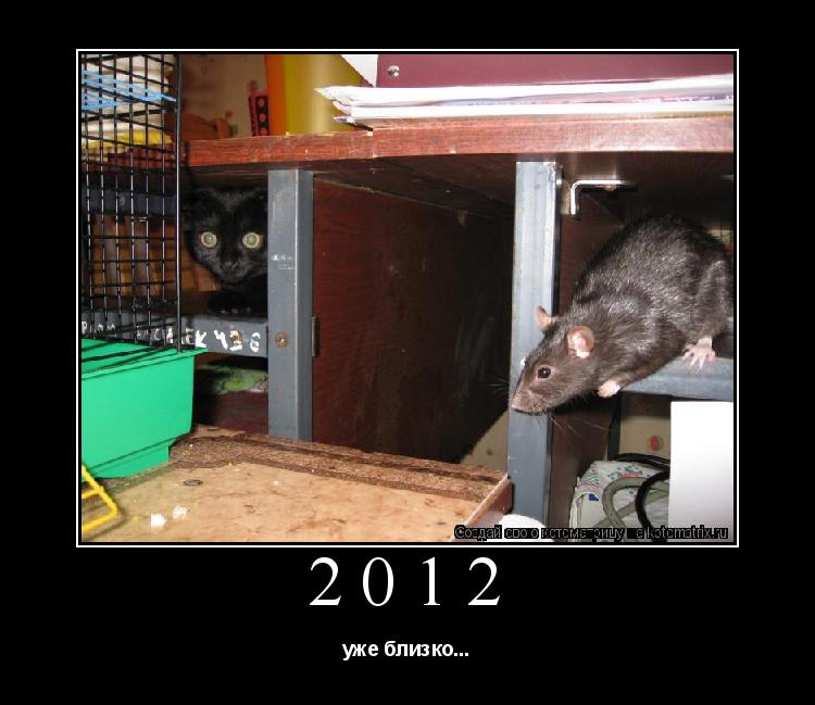 Котоматрица: 2012 уже близко...