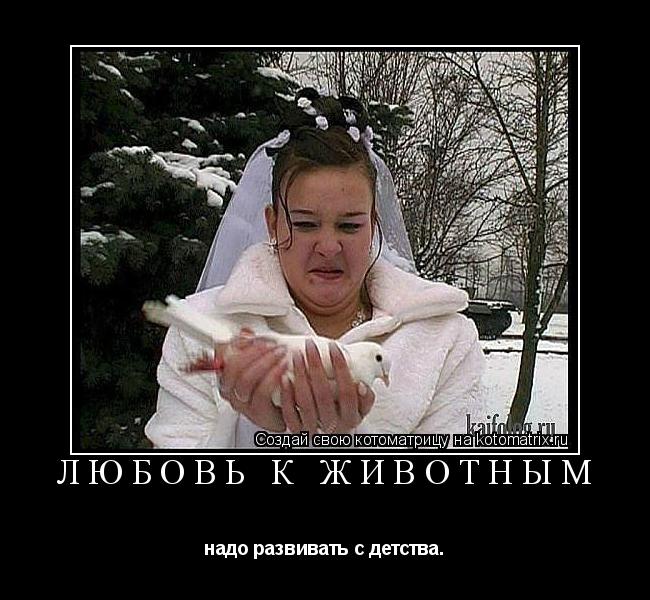 Котоматрица: Любовь к животным надо развивать с детства.