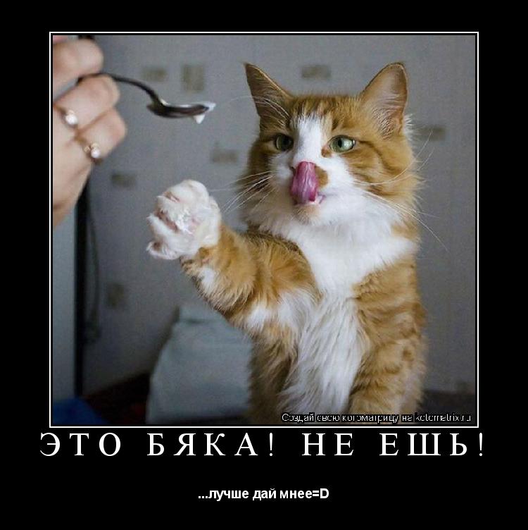 Котоматрица: Это бяка! Не ешь! ...лучше дай мнее=D
