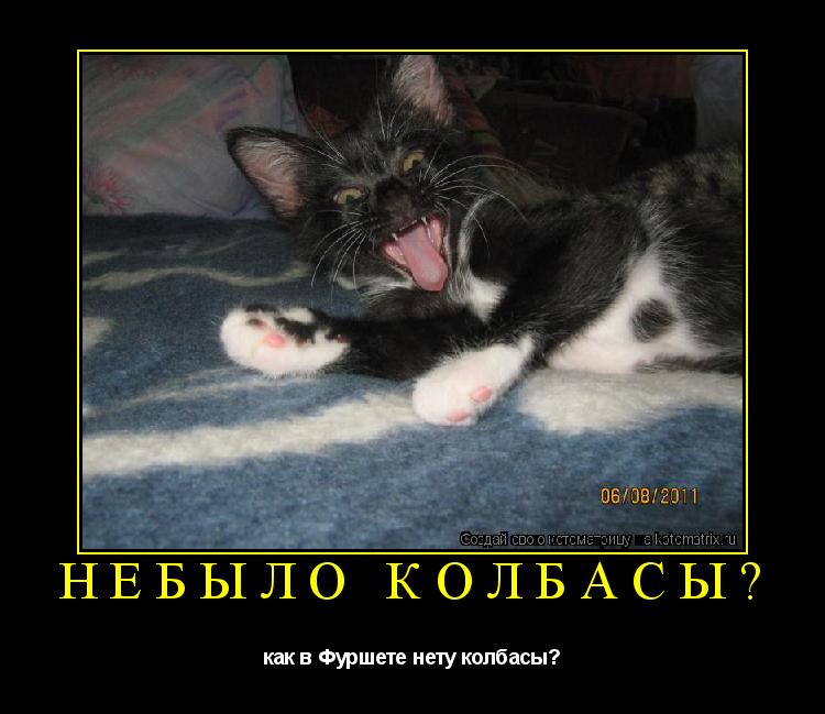 Небыло колбасы? как в Фуршете нету колбасы?... Котоматрица: Небыло колбасы? как в Фуршете нету колбасы?