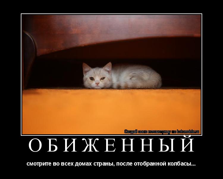 Котоматрица: ОбиженныЙ смотрите во всех домах страны, после отобранной колбасы...