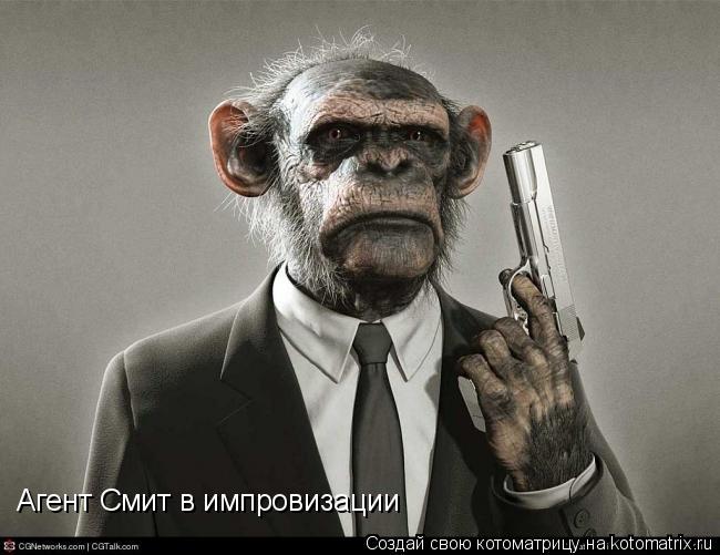 Агент Смит в импровизации... Котоматрица: Агент Смит в импровизации