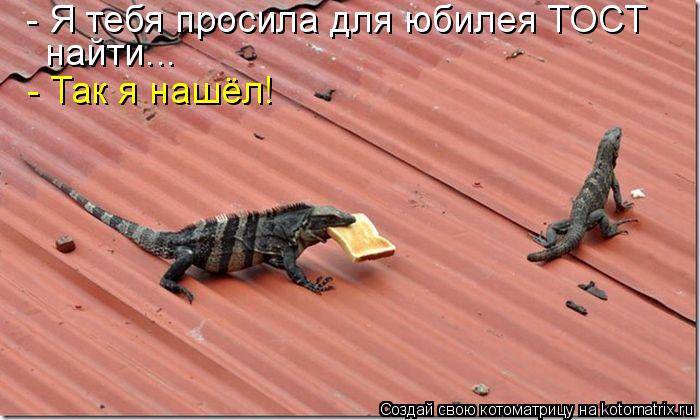 - Я тебя просила для юбилея ТОСТ найти... - Так я нашёл!... Котоматрица: - Я тебя просила для юбилея ТОСТ найти... - Так я нашёл!