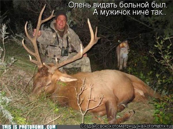 Олень видать больной был. А мужичок ничё так..... Котоматрица: Олень видать больной был. А мужичок ничё так..