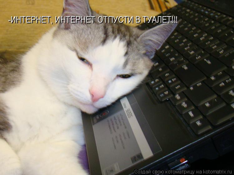 -ИНТЕРНЕТ, ИНТЕРНЕТ ОТПУСТИ В ТУАЛЕТ!!!... Котоматрица: -ИНТЕРНЕТ, ИНТЕРНЕТ ОТПУСТИ В ТУАЛЕТ!!!