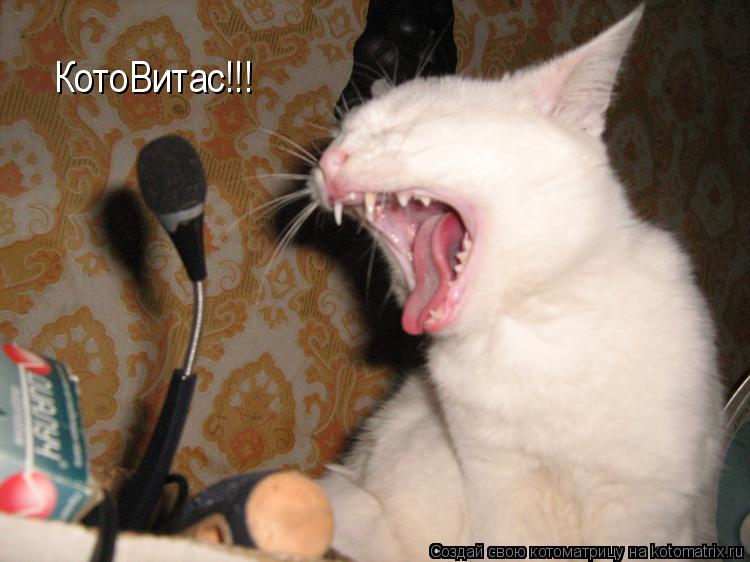 КотоВитас!!!... Котоматрица: КотоВитас!!!