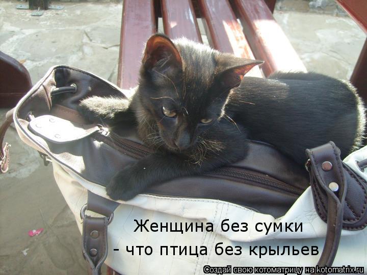 Женщина без сумки - что птица без крыльев... Котоматрица: Женщина без сумки - что птица без крыльев