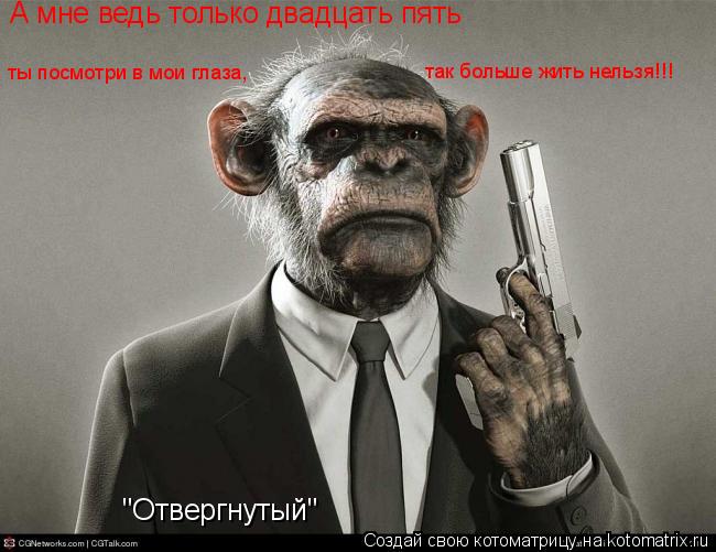 А мне ведь только двадцать пять ты посмотри в мои глаза, так больше жить нельзя!!! "Отвергнутый"... Котоматрица: А мне ведь только двадцать пять ты посмотри в мои глаза, так больше жить нельзя!!! "Отвергнутый"