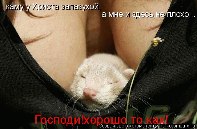 каму у Христа запазухой, а мне и здесь,не плохо... Господи!хорошо то как!... Котоматрица: каму у Христа запазухой, а мне и здесь,не плохо... Господи!хорошо то как!