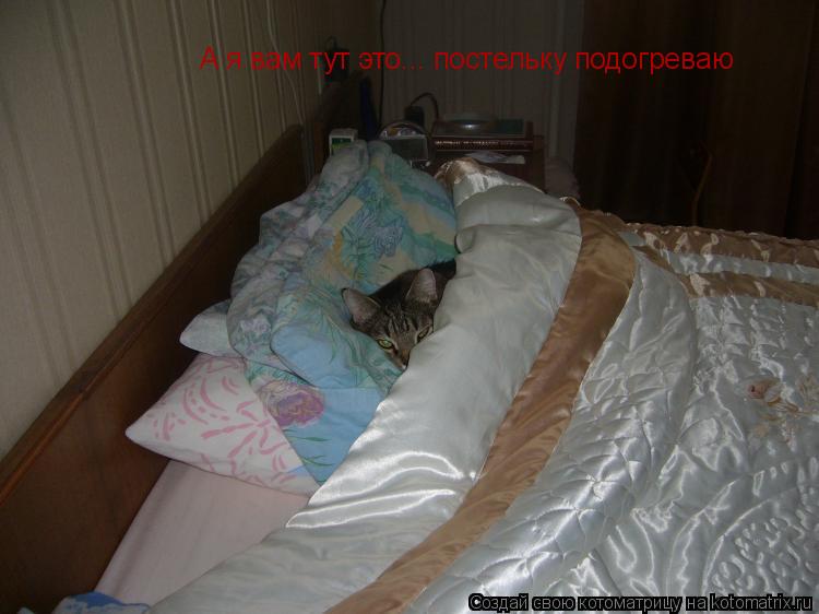 не дай вам бог семью клопов под теплым одеялом не дай вам бог семью клопов под теплым одеялом