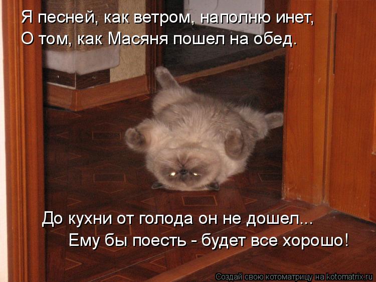 Я песней, как ветром, наполню инет, О том, как Масяня пошел на обед. До кухни от голода он не дошел.... Котоматрица: Я песней, как ветром, наполню инет, О том, как Масяня пошел на обед. До кухни от голода он не дошел... Ему бы поесть - будет все хорошо!