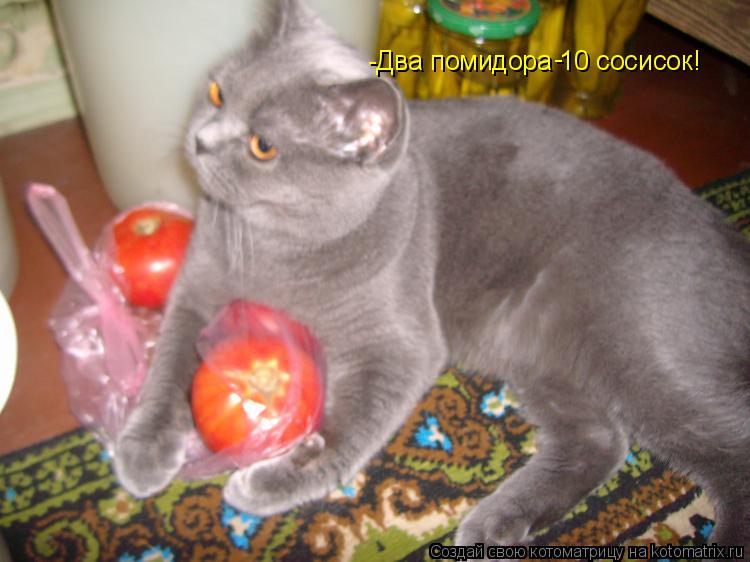 Котоматрица: -Два помидора 10 сосисок! -