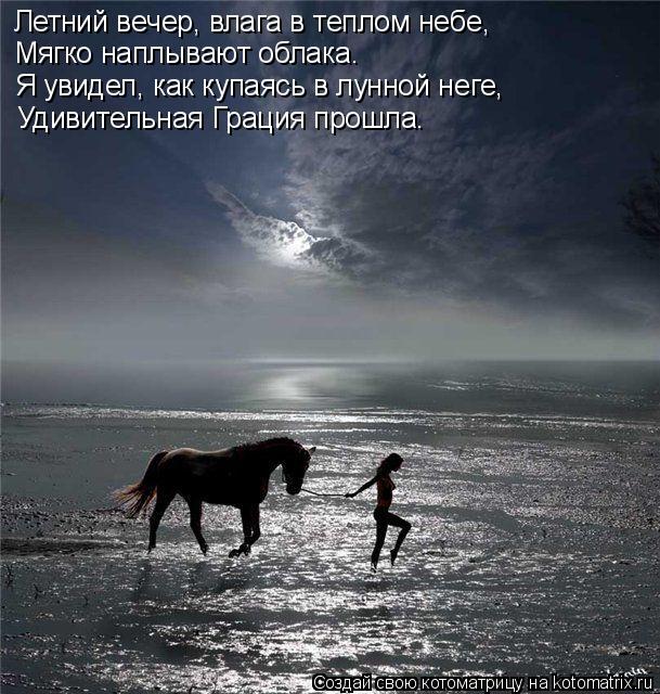 Летний вечер, влага в теплом небе, Мягко наплывают облака. Я увидел, как купаясь в лунной неге, Удиви... Котоматрица: Летний вечер, влага в теплом небе, Мягко наплывают облака. Я увидел, как купаясь в лунной неге, Удивительная Грация прошла.