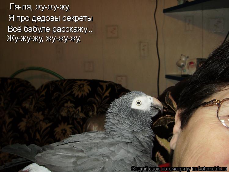 Ля-ля, жу-жу-жу, Я про дедовы секреты Всё бабуле расскажу... Жу-жу-жу, жу-жу-жу.... Котоматрица: Ля-ля, жу-жу-жу, Я про дедовы секреты Всё бабуле расскажу... Жу-жу-жу, жу-жу-жу.