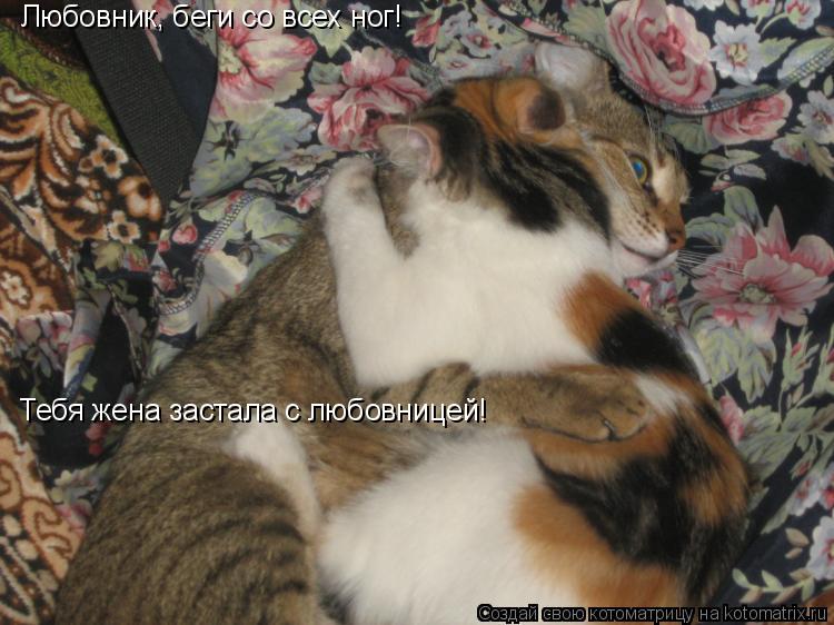 Любовник, беги со всех ног! Тебя жена застала с любовницей!... Котоматрица: Любовник, беги со всех ног! Тебя жена застала с любовницей!